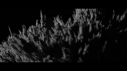 Master the Principles of Geometry with Ronaoke 📐