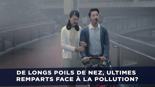De (très) longs poils de nez, ultimes remparts face à la pollution?