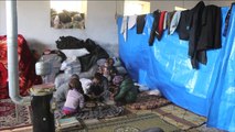 ظروف صعبة لعائلات سورية تعيش بحظائر حيوانات