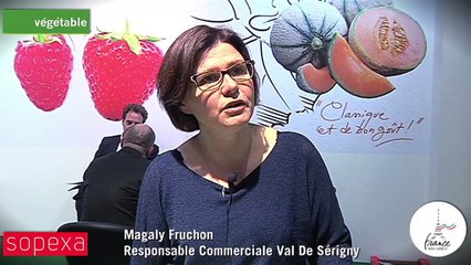Val de Sérigny : « Nous produisons 14 000 t de melon sur 3 origines »