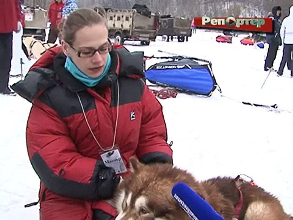 Самара приняла первенство по ездовому спорту