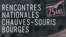 LES RENCONTRES CHAUVES-SOURIS 2016