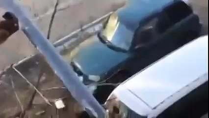 вот такое зрелище девушка наблюдала с окна