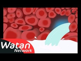 برنامج الأطفال علمني كيف ـ الحلقة 15 الخامسة عشر كاملة HD