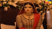 Mann Mayal Episode 06 Full Hum TV Drama 29 Feb 2016