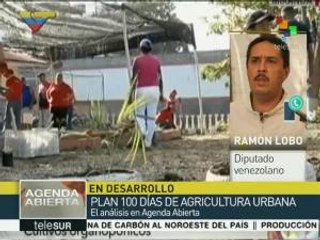 Ramón Lobo: MUD impulsa leyes para pagar favores a sus financistas