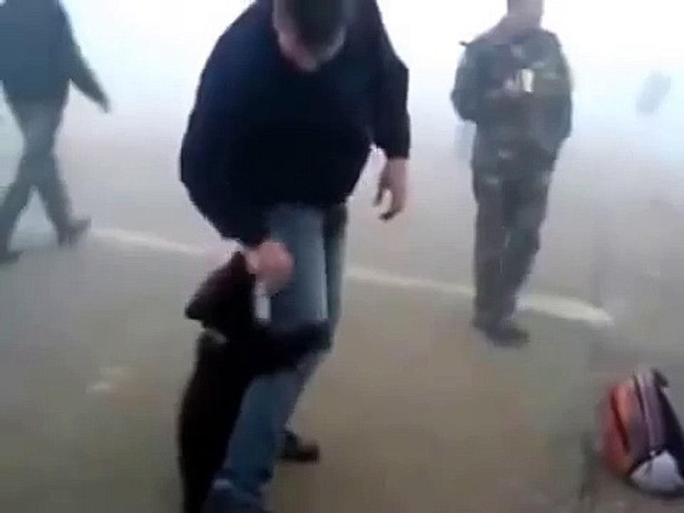 Медвежонок играет с человеком!