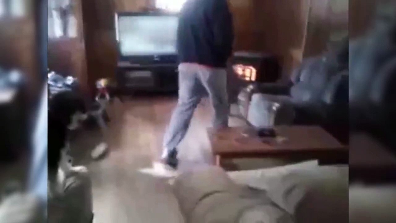 Dogs who never let you sitting - Funny dog vidoes