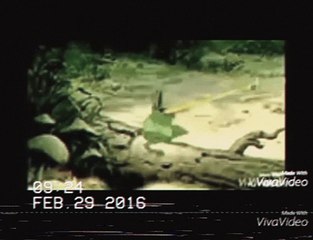 Opening to Boohbah Squeaky Socks 2003 VHS part 1