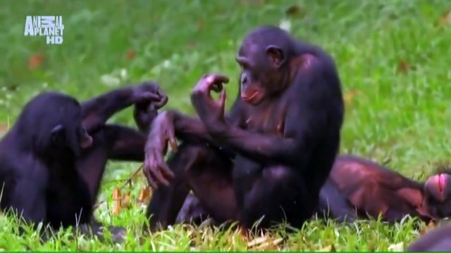 Вся суть женской логики за 30 сек. Очень прикольно)))