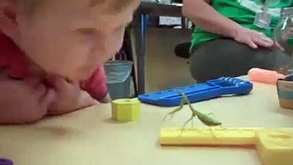 VID-20160203-WA0011.mp4