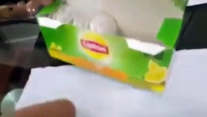 Shocking Video What Lipton Is Mixing Inside Tea Bags You Will Be Shocked