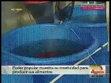 El gobierno de venezuela propone Cría De Peces en Tanques en los balcones de las casas