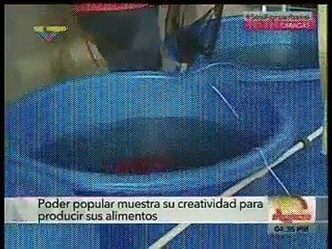 El gobierno de venezuela propone Cría De Peces en Tanques en los balcones de las casas