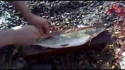 Чистим рыбу за 10 секунд ✔