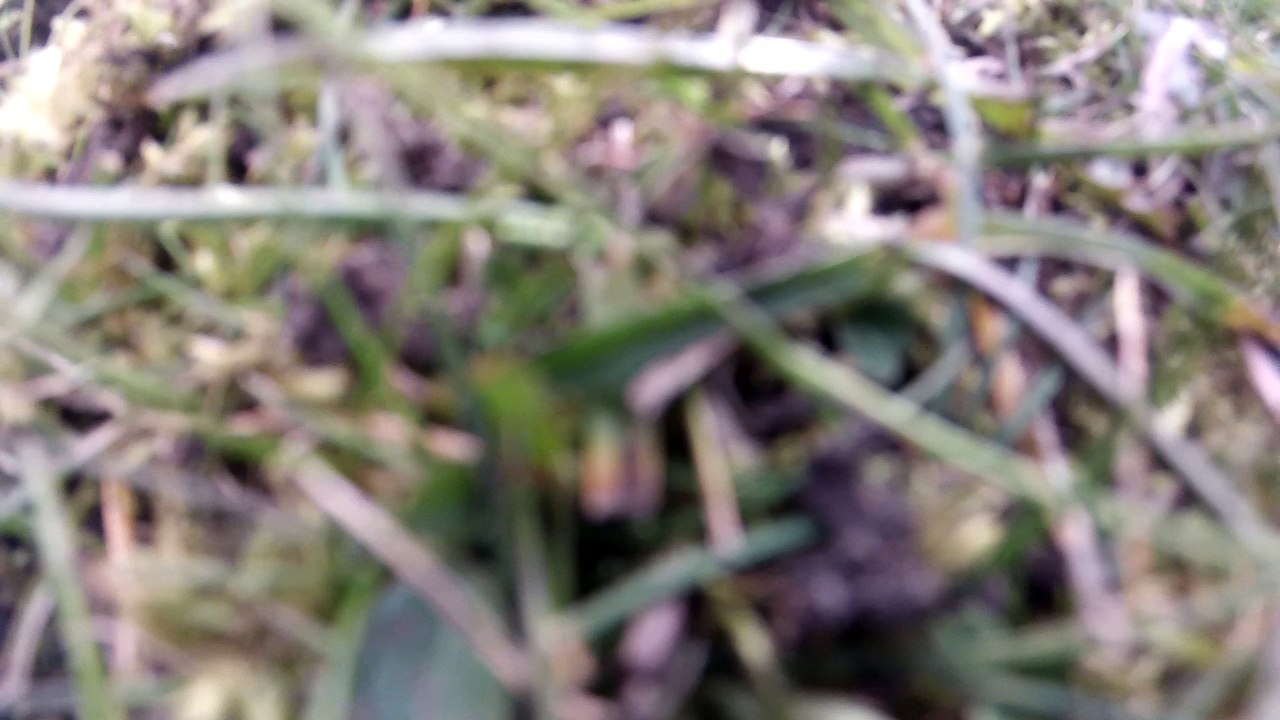 Dji Phantom 2 With Gopro3 and ImmersionRc Fpv in Derbyshire