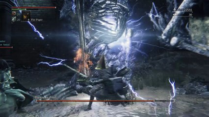 Bloodborne™: Darkbeast Paarl