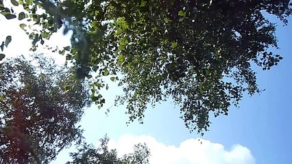 Тюменская обл. с.Упорово, лыжные гонки, лето, роллеры падение с 1-вого спуска