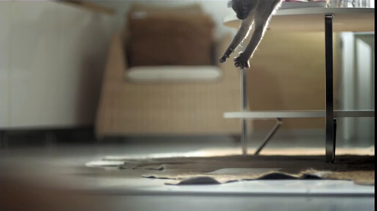 Happy Inside - IKEA cats advert