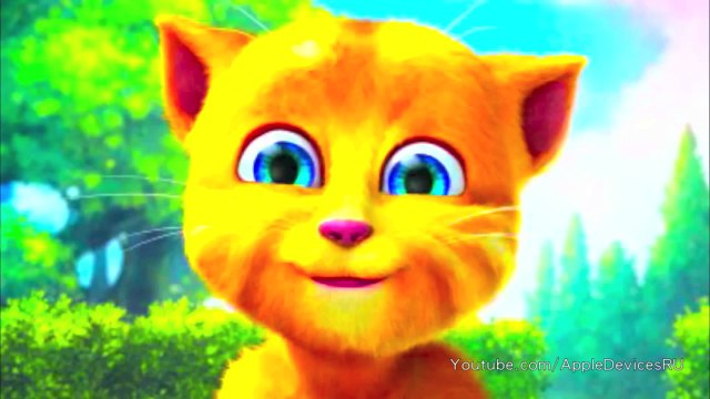 Прикол - смешной котенок, рыжий кот