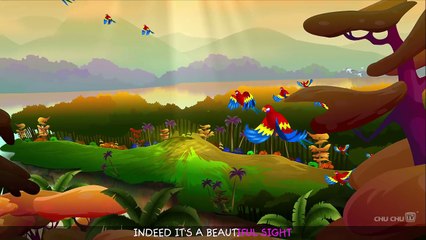 Color Songs - The GREEN Song  Learn Colours  Preschool Colors Nursery Rhymes  ChuChu TV