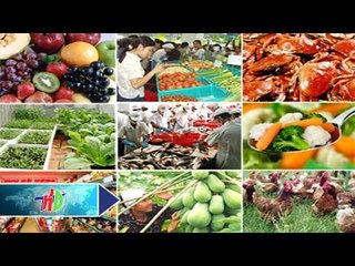 Đẩy mạnh xuất khẩu nông, lâm, thủy sản | HDTV