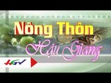 Kỹ thuật thuần lươn và nuôi lươn trong bể lót bạt | HGTV