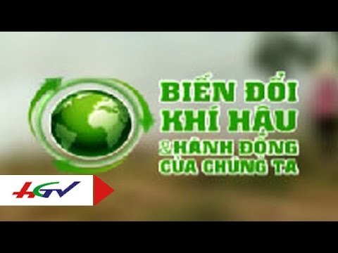 Phương án chống lũ lụt và hạn mặn của nhà vườn vùng cây ăn quả | HGTV