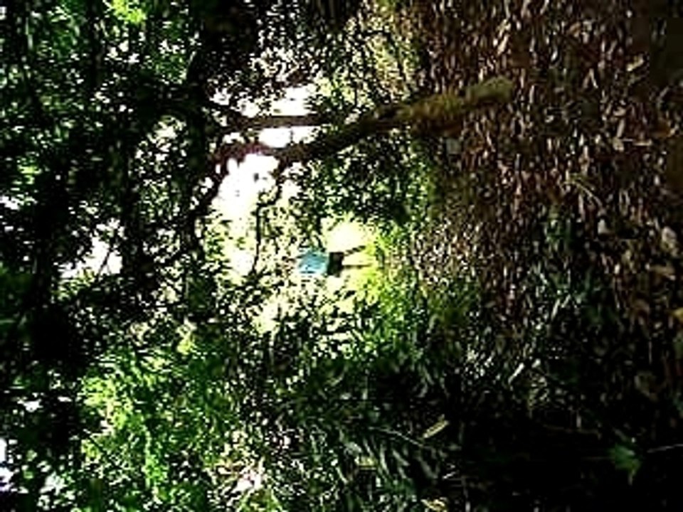 P6020132