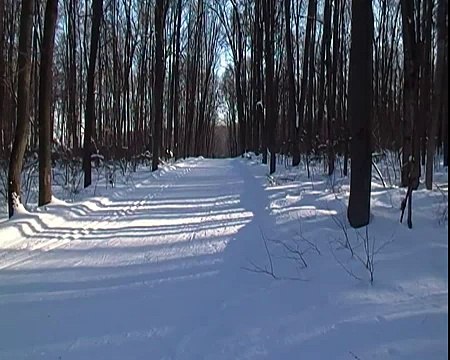 Эстафета(Лыжные гонки)