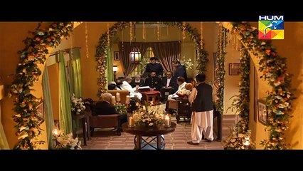 Mann Mayal Episode 6 on Hum Tv in High Quality 29th February 2016