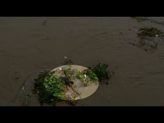 Teen rescued from swollen Marikina River