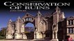 Download Conservation of Ruins  Butterworth Heinemann Series in Conservation and Museology