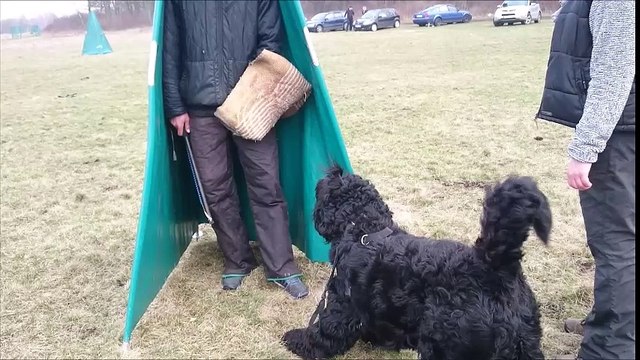 28-02-2016 Trening Obrony Sportowej Opole Michał Wiśniewski