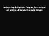 Download Having a Say: Indigenous Peoples International Law and Free Prior and Informed Consent