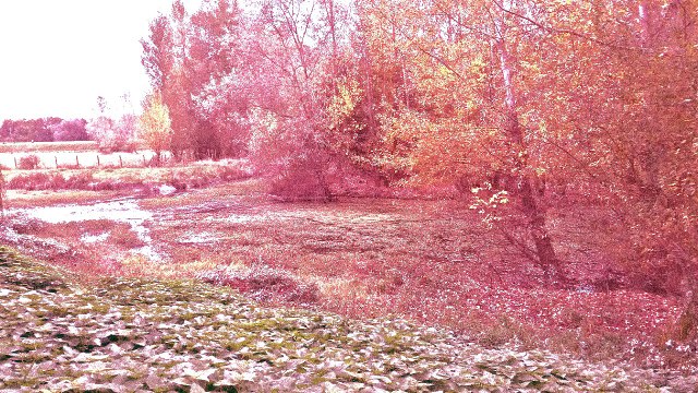 Brumes et Brouillards