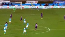 Gonzalo Higuain Goal - Fiorentina 1-1 Napoli 29..02.2016