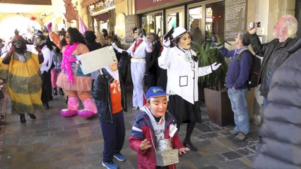 Carnaval de Limoux 20 Février 2016 4K ULTRA HD (1)