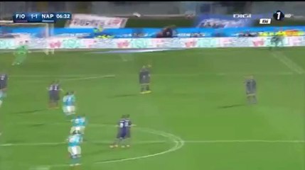 GONZALO HIGUAIN FIORENTINA - NAPOLI GOAL HD