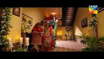 Mann Mayal Episode 06 part 1 Hum TV Drama 29 Feb 2016 -