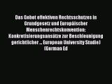 Download Das Gebot effektiven Rechtsschutzes in Grundgesetz und Europäischer Menschenrechtskonvention: