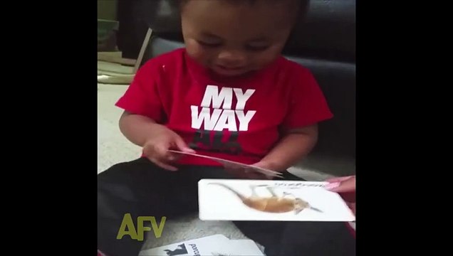 Un bébé fan d'ânes... Adorable !