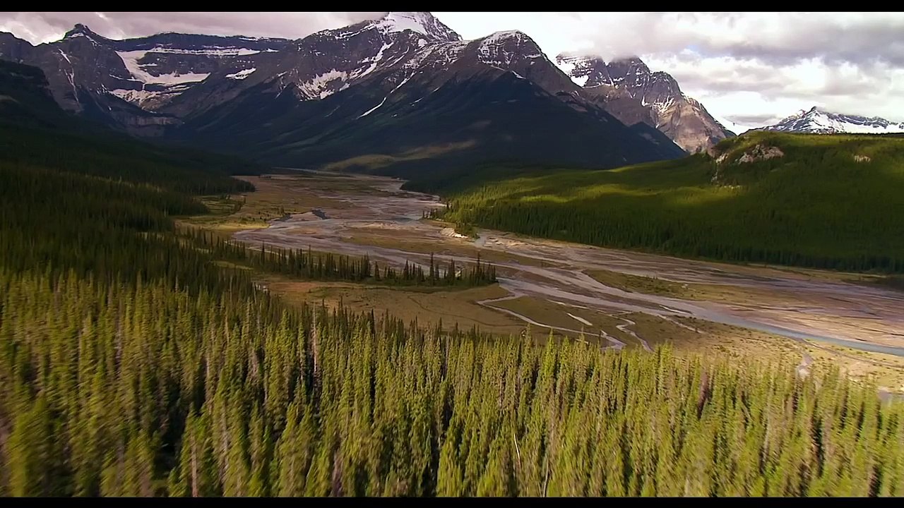 -I Purged- - THE PURGE 3 'Election Year' VIRAL CLIP