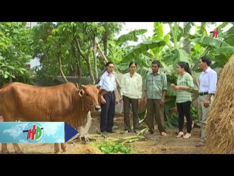 Người phụ nữ gồng gánh nuôi mẹ già con thơ | HDTV
