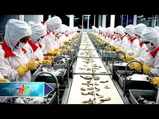 Doanh nghiệp Hải Dương: Dấu ấn một nhiệm kỳ | HDTV