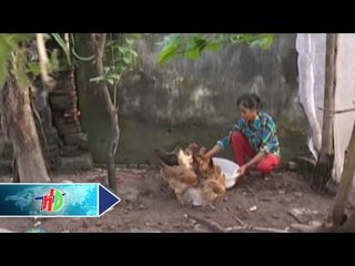 Đồng hành thoát nghèo | HDTV