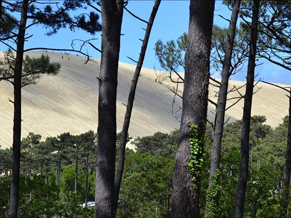 SOUVENIR DE LA DUNE DU PILAT