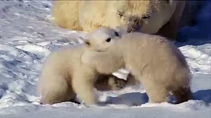 Веселая семейка