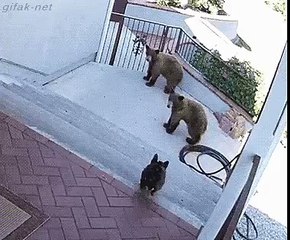 это мой дом!!!