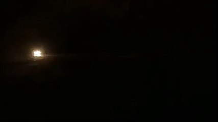 Олени нашего времени